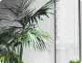 Kobe Steel plant that supplied - 华体会